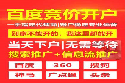 SEM竞价优化策略优化：案例解析提升广告转化率